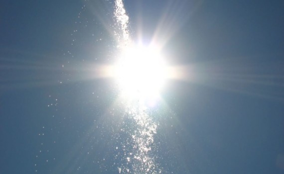 Watering the Sun de Conanil, sur Flickr