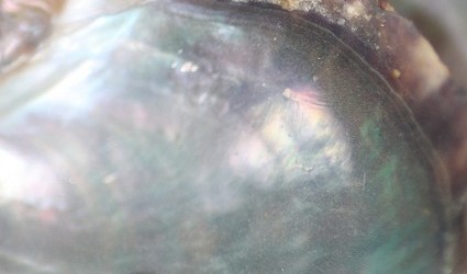 de K8monster1, sur Flickr (licence CC BY-ND 2.0)