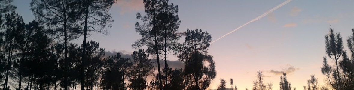 lune levante et coucher de soleil lumineux à Belin-Béliet