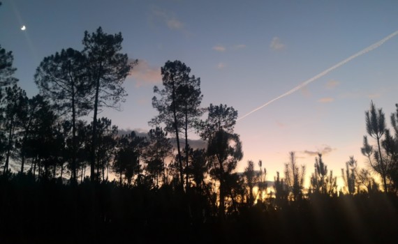 lune levante et coucher de soleil lumineux à Belin-Béliet